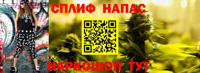 стафф Будённовск