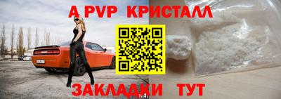 стафф Будённовск