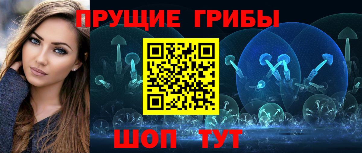 Псилоцибиновые грибы Psilocybe Кубинка